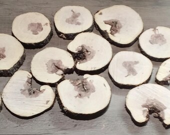 25 Locust Wood Slices, Rustic Farmhouse DIY Decor (3.5-4.5" Wide)