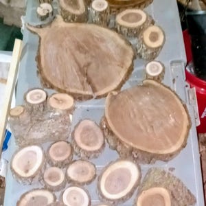 Schwarze Walnuss Stücke für Basteln, Holzbearbeitung, DIY, Holzschnitzereien, Holzreste