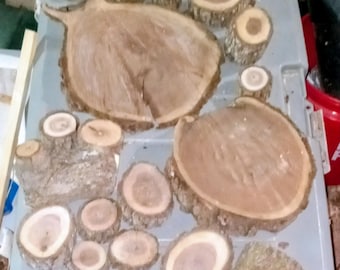 Black walnut pieces,scraps, end cuts, chunks for crafting, woodworking, diy