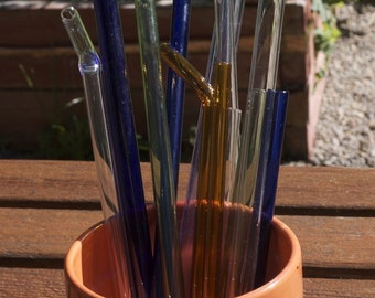 Baker's Dozen Glass Eco Straws - Grab Bag