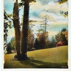 Carte postale vintage de l'État de Washington - Kinnear Park, Seattle (non utilisée)