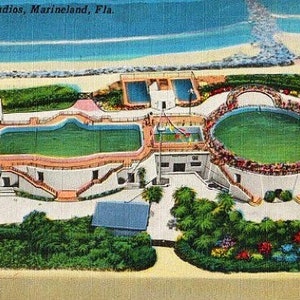 Carte postale vintage de Floride - Vue aérienne de Marine Studios à Marineland (inutilisé)