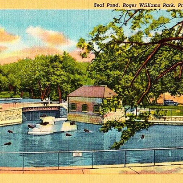 Vintage Rhode Island Postcard - The Seal Pond at Roger Williams Park, Providence (Unused)