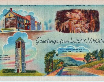 Colorado Cool Antique Linen Postcard of a Catch of Speckled Mountain Trout Estes Park
