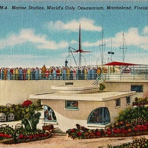 Carte postale vintage de Floride - Marine Studios, World's Only Oceanarium, Marineland (inutilisé)