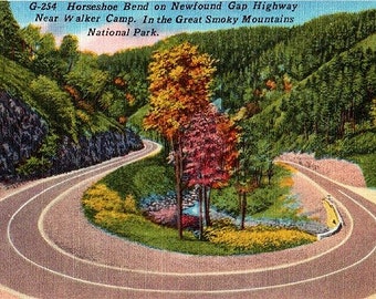 Vintage Smoky Mountains Postcard - Scenic Drive on Newfound Gap Road in the Great Smoky Mountains (Unused)