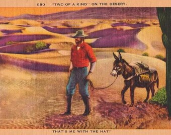Vintage Southwest Postcard - A Prospector and Burro on the Desert (Unused)