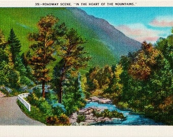 Vintage Postcard - A Winding Roadway in the Mountains (Unused)