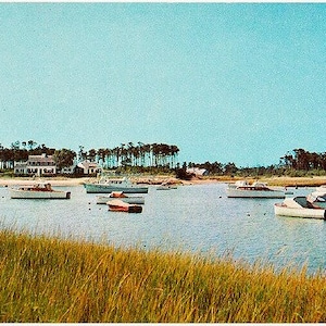 Carte postale vintage Cape Cod - Allen Harbour, Harwich Port (inutilisé)