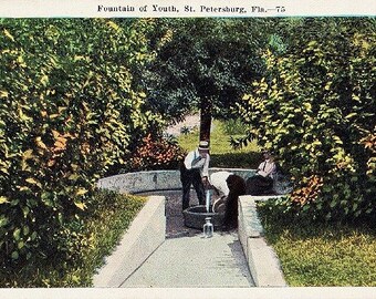 Vintage Florida Postcard - Visiting the Fountain of Youth, St. Petersburg (Unused)