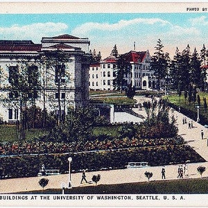 Carte postale ancienne - Université de Washington, Seattle, Washington (non utilisée)