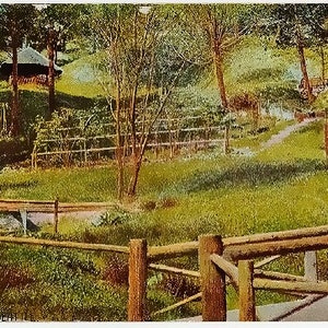Carte postale ancienne de l'État de Washington - Madrona Park, Seattle (non utilisée)