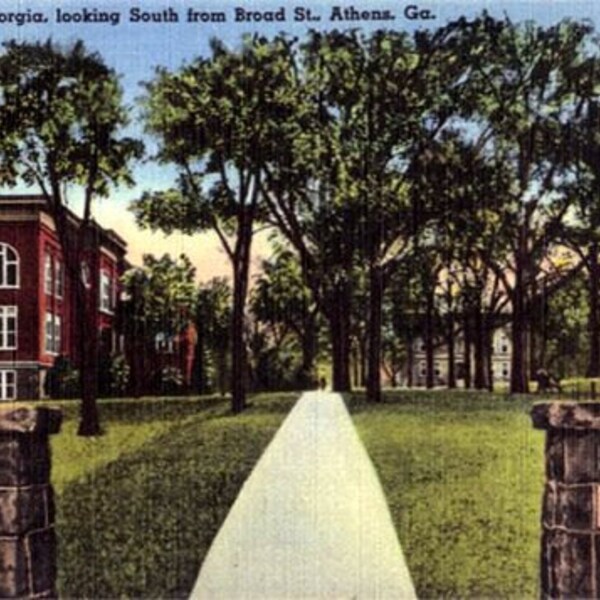 Vintage Georgia Postcard - University of Georgia, Athens (Unused)