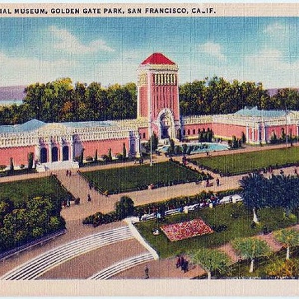 Vintage California Postcard - The de Young Museum in Golden Gate Park, San Francisco (Unused)