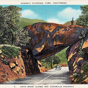 Carte postale californienne vintage - The Arch Rock le long de la Generals Highway, Sequoia National Park (inutilisé)