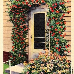 Carte postale vintage Cape Cod - La porte de la maison (inutilisée)