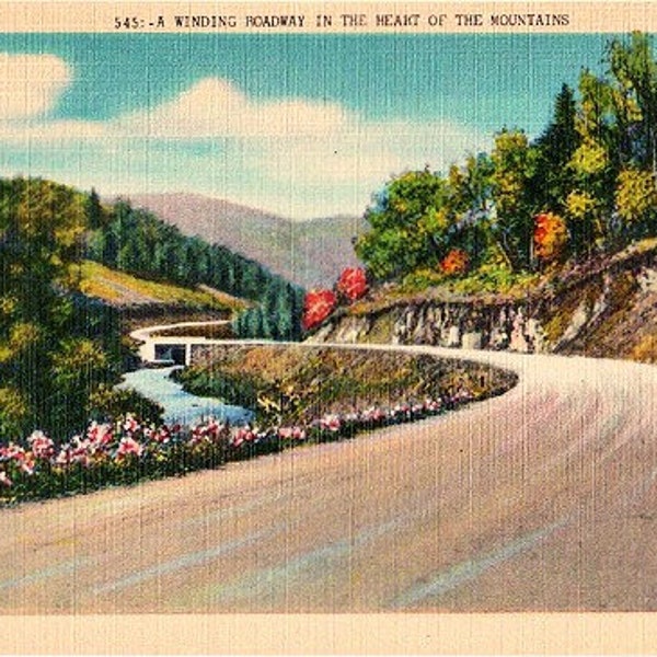 Vintage Postcard - A Winding Roadway in the Mountains (Unused)