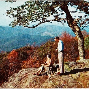 Carte postale vintage de Virginie - Un endroit pittoresque sur Skyline Drive, près de Big Meadows, parc national de Shenandoah (inutilisé)
