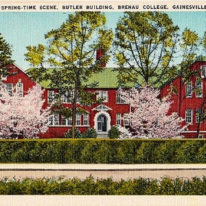 Carte postale vintage - Université de Brenau, Gainesville, Géorgie (non utilisée)