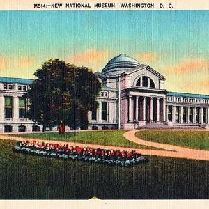 Carte postale vintage de Washington DC - The National Museum of Natural History (inutilisé)