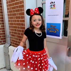 Plus size minnie mouse tutu best sale