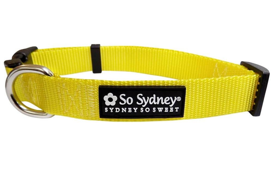 Boutique Yellow Dog Collar &/or Dog Leash Solid Yellow w/ Etsy