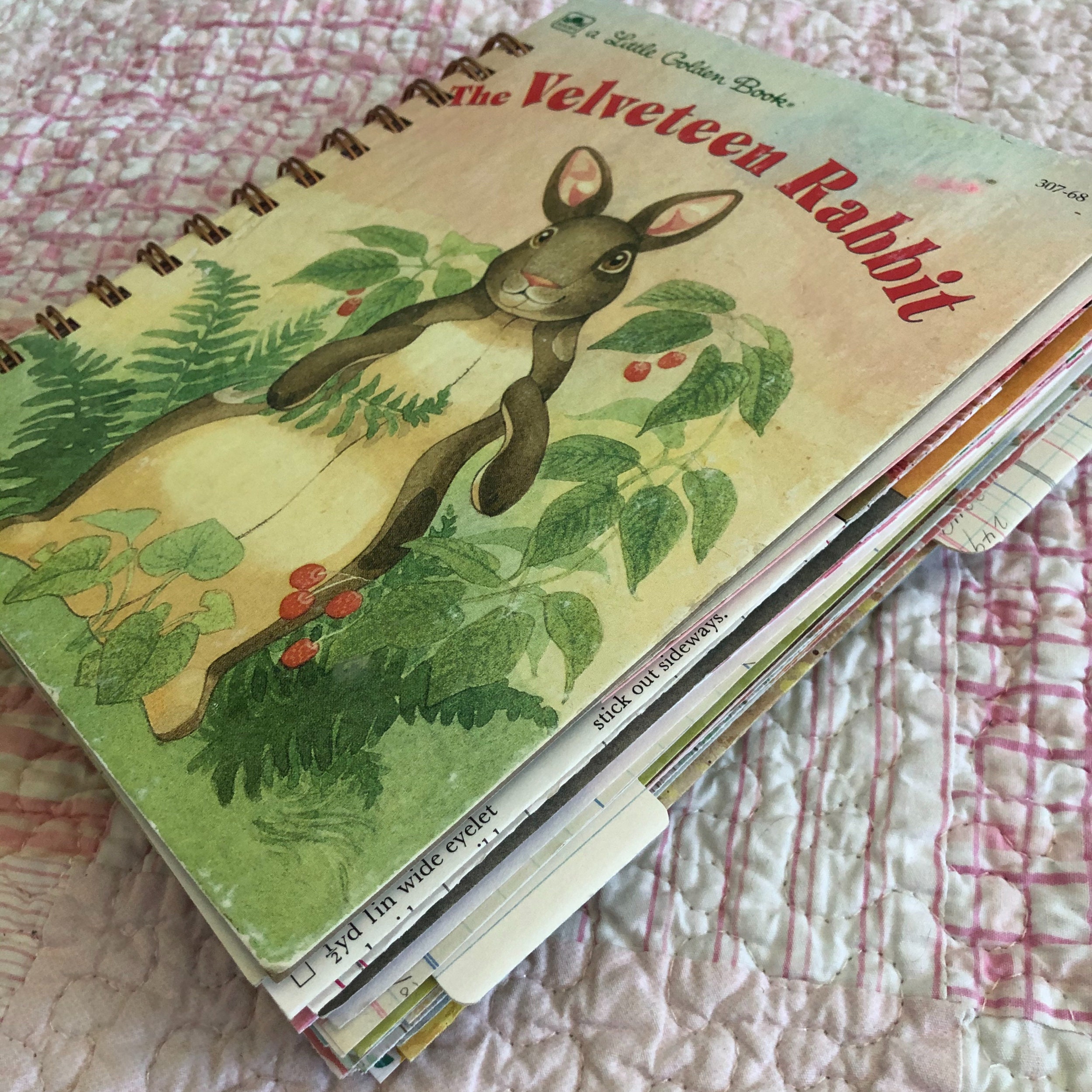 The velveteen rabbit movie picture