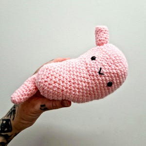 Peut inclure: Un estomac rose en crochet, avec des yeux en boutons noirs et une petite protubérance cylindrique. L'organe en peluche est présenté sur un fond blanc uni, mettant en valeur la texture douce et le design fantaisiste.