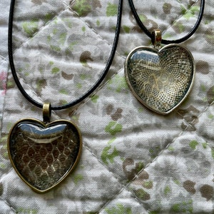 May include: Two heart-shaped necklaces with black cords. One necklace has a bronze heart pendant with a clear resin insert showing a brown and white pattern. The other necklace has a silver heart pendant with a clear resin insert showing a white and gray pattern.