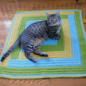 May include: A tabby cat with green eyes sits on a crocheted rug with yellow, blue, and green stripes. The rug is on a wooden floor.