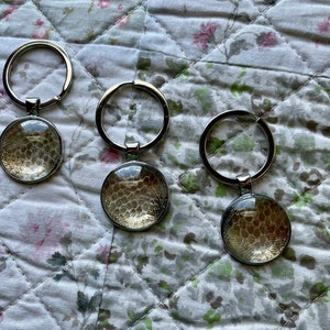 May include: Three silver keychains with round glass charms featuring a beige and brown honeycomb pattern.