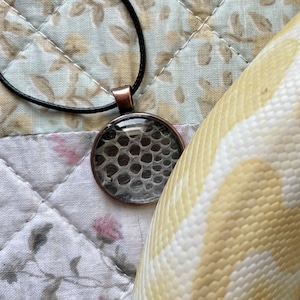 May include: A black leather cord necklace with a round pendant featuring a close-up of a snake skin pattern.