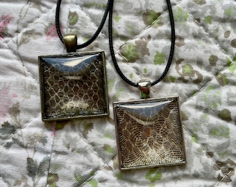 Square Snake Shed Pendants