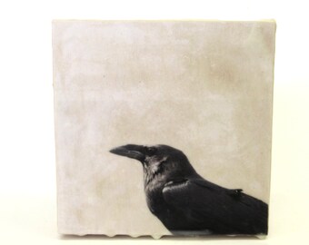 mixed media encaustic wall hanging  ...  photograph  ...   encaustic  art  ... rook,  raven,  crow