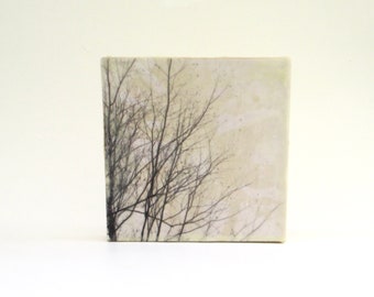 mixed media encaustic wall hanging  ...   photograph  ...   encaustic  art  ... winter trees