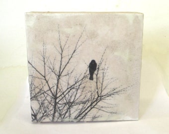 mixed media encaustic wall hanging  ...   bird photograph  ...   encaustic  art  ... winter trees  ... lonely rook,  raven,  crow