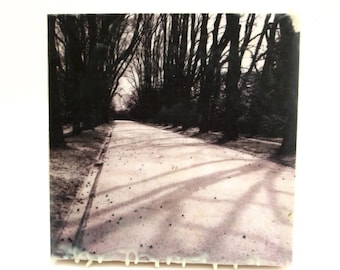 mixed media encaustic wall hanging  ...   photograph  ...   encaustic art  ... trees ... Porto Portugal
