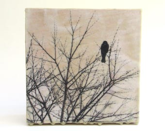 mixed media encaustic wall hanging  ...   bird photograph  ...   encaustic  art  ... winter trees  ... lonely rook,  raven,  crow