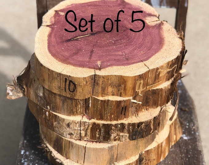 Cedar Wood Rounds SET of 5 10 11 X 2 Thick Etsy