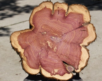 Tree Slice Table Etsy