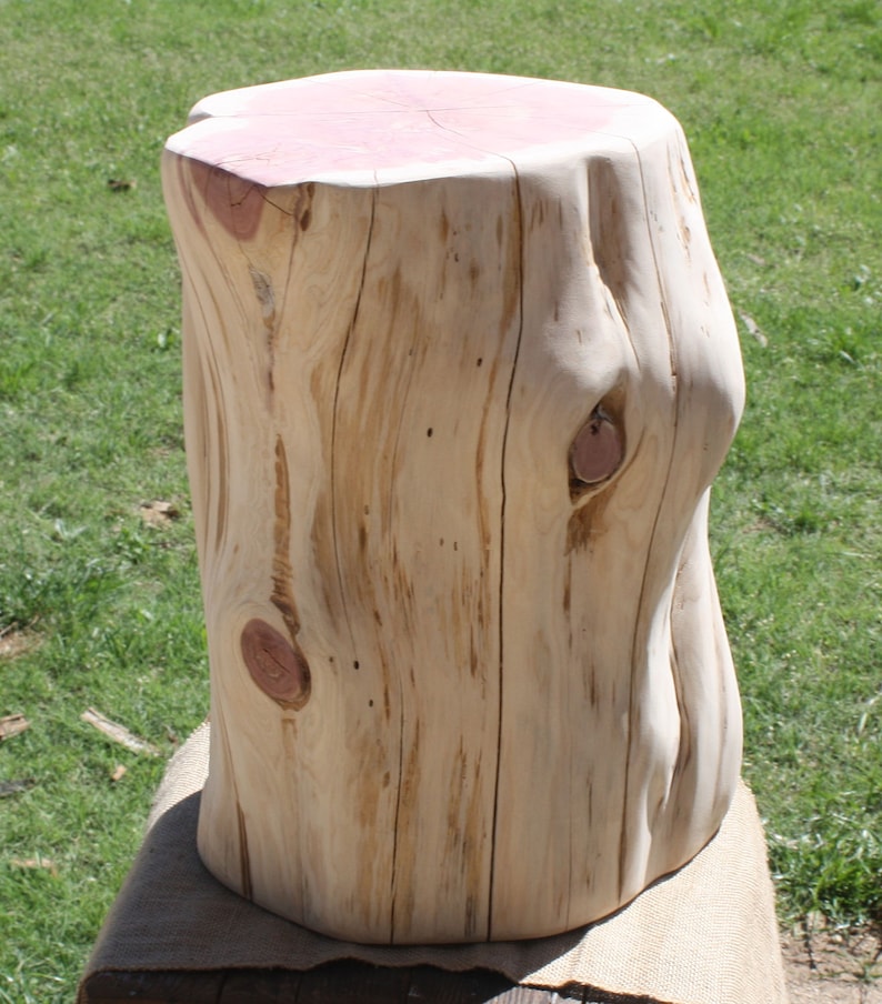 Tree Stump Side Table Timber End Log Base Reclaimed Wood Live Edge Natural Texas Red Cedar