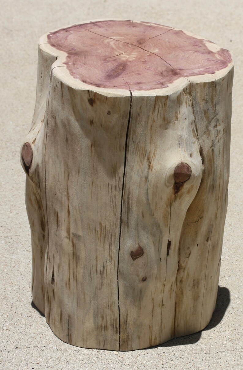 Mesa lateral del tocón de árbol mesa final de madera base de | Etsy