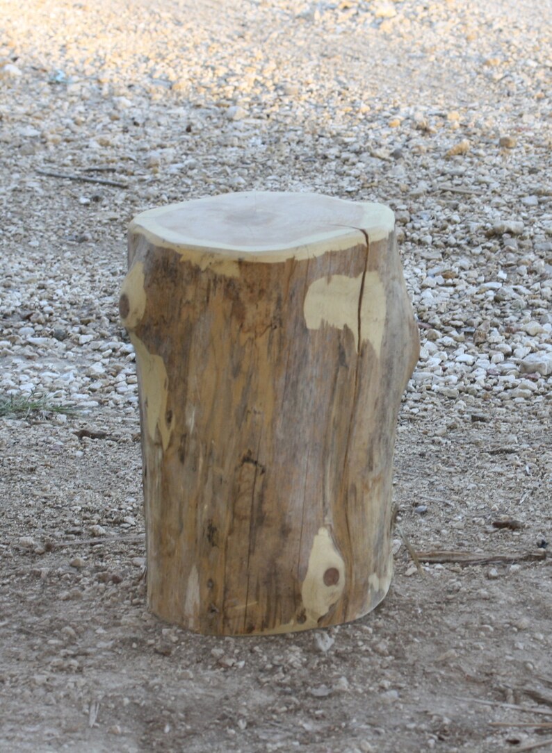 Tree Stump End Table wood outdoor stool stump stump table Etsy