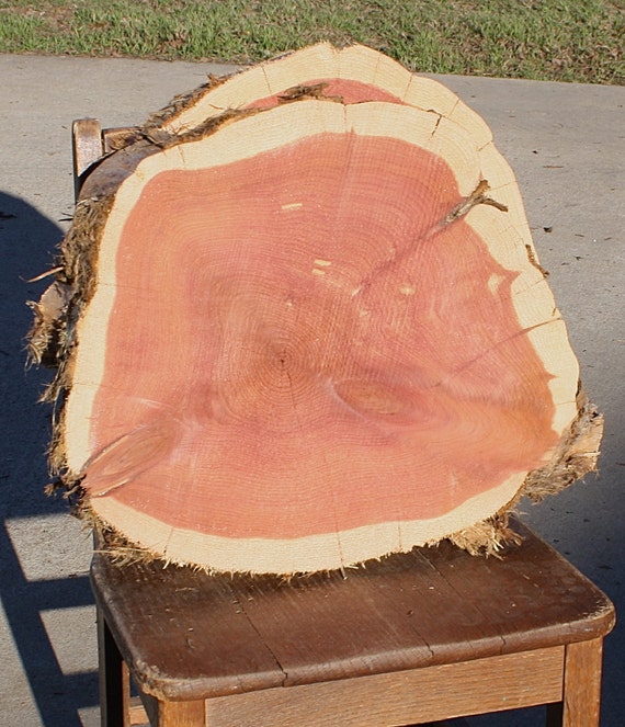 Marai Home Rustic Acacia Wood Slice with Bark Decor Wood