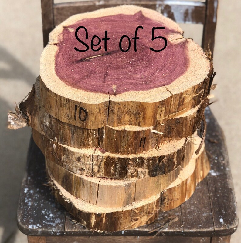 Cedar Wood Rounds SET of 5 10 11 x 2 Etsy