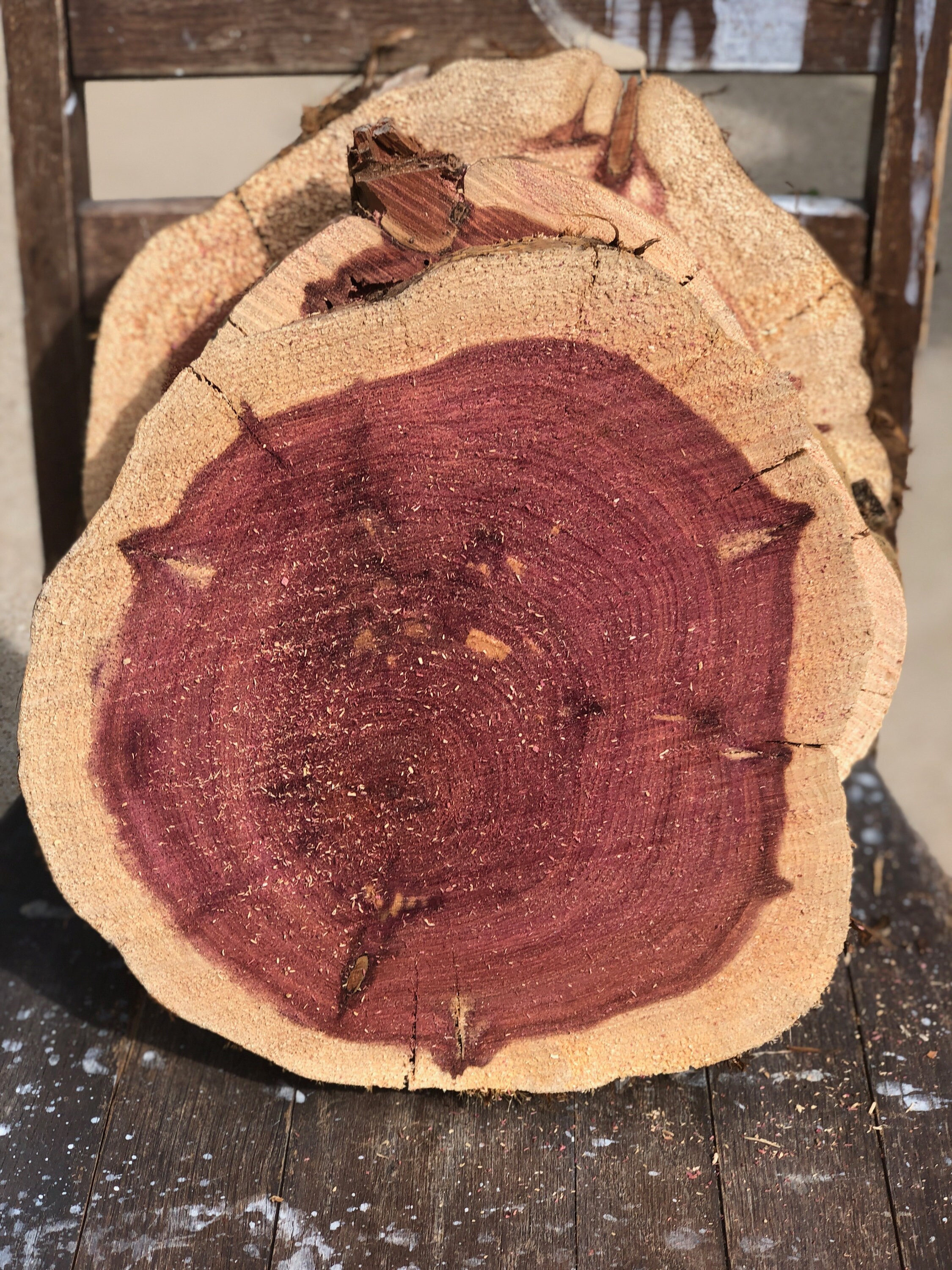 Cedar Wood Rounds SET of 5 10 11 X 2 Thick Etsy