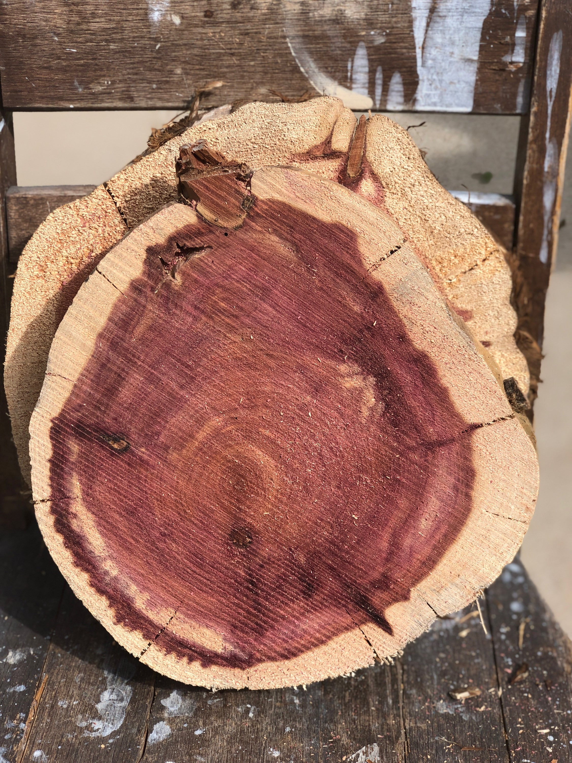 Wood Slices, Wood Slabs, Log Slices 9 to 10 diameter x 1 thick Kiln Dried &  Sanded, Woodland Decor, Wedding Centerpieces.