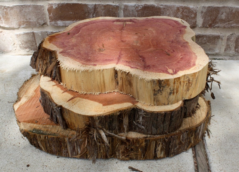 Wedding Wood Centerpieces, wood slice for centerpiece, wood slab, wood round, 911 x 2 thick, chargers, rounds, rustic, woodland, barn image 2