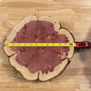 9 to 12 x 2 thick Rustic Cedar Wood Slice, Texas wedding decor, centerpiece, cake base stand, woodland, outdoor, backyard, barn, themes image 9