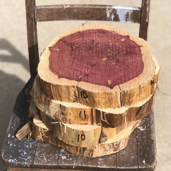 Wood Slice, 9" - 12" wide x 2", Cedar Wood Slab, staghorn fern mount, plant mount, wedding decor, DIY wood, project wood